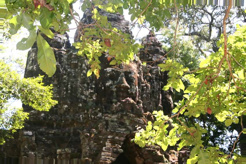 De tempels van Angkor Wat liggen midden in de jungle