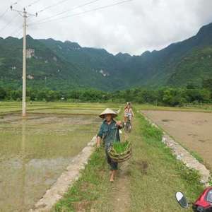 Vietnam en Cambodja in 3,5 week