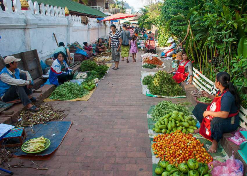 Je gaat met de kok op stap om je ingredienten op de markt te kopen