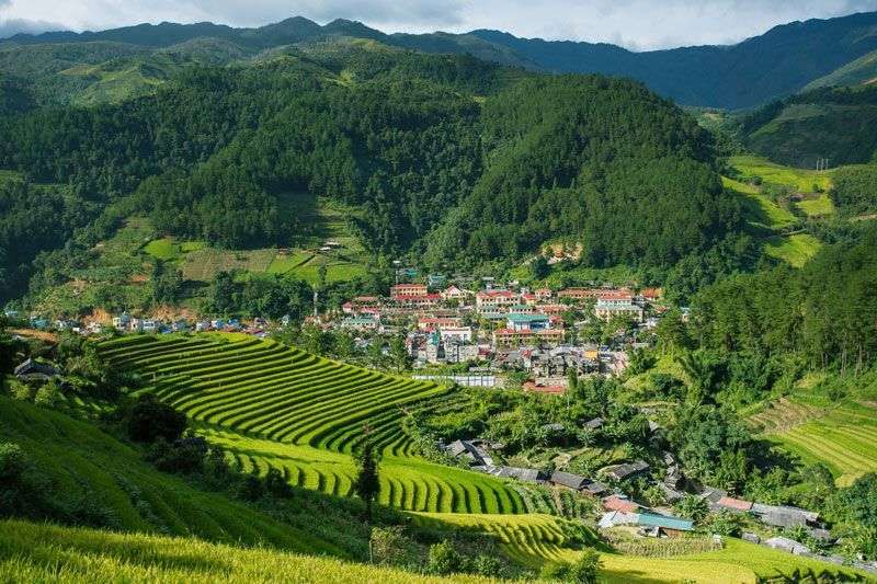 Sapa