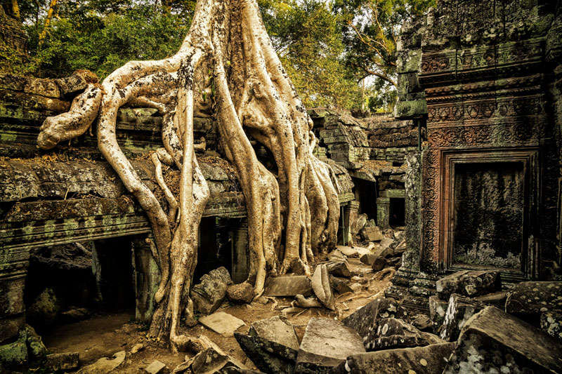 De Ta Phrom tempel<br>