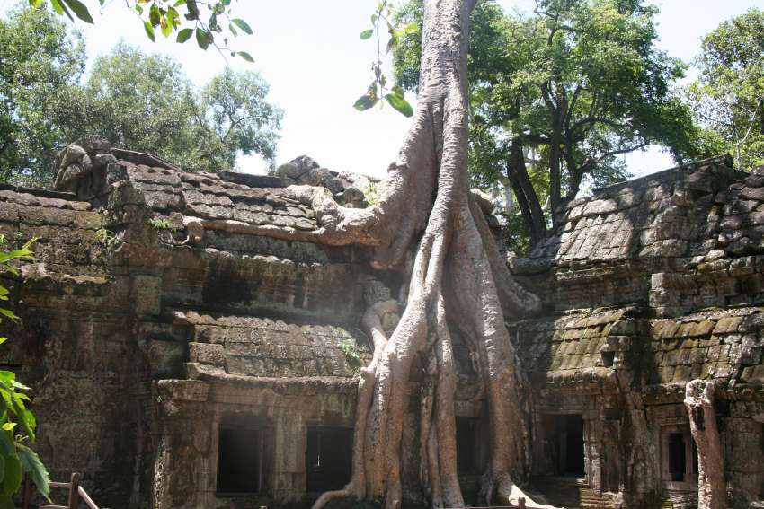 De overwoekrde tempel Ta Phrom<br>