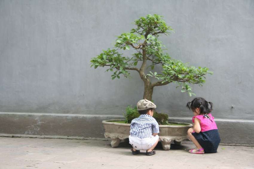 Je bent niet de enige die de Ngoc Son tempel interessant vindt