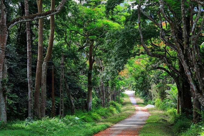 Cuc Phuong nationaal park<br>